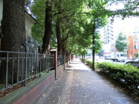 赤門ロイヤルハイツアプローチ-6｜本郷通り、東京大学の敷地側です。東京大学の植栽が借景になります。