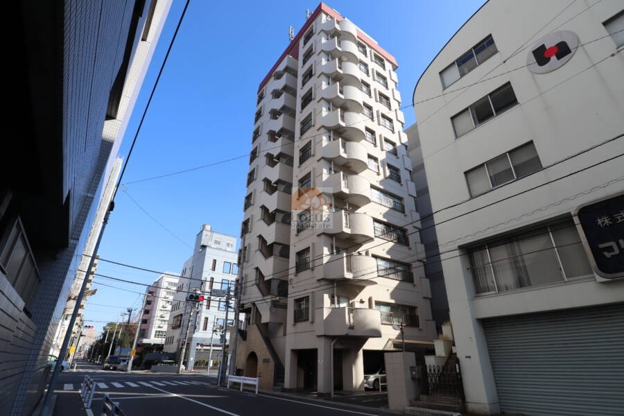 錦糸町グリーンハイツ外観1｜錦糸町グリーンハイツは昭和５６年築、１１階建てのマンションです。四ツ目通り沿いの角地に立地します。住吉駅、錦糸町駅が利用可です。