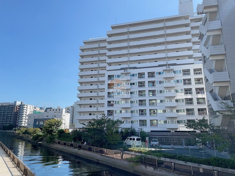 グランドメゾン田町の引く請川に運河があり、護岸の手すりと歩道が続いています。白色の外観に、手前には低木と駐車スペースが確認できます。グランドメゾン田町は、昭和58年築、14階建てのマンションです。