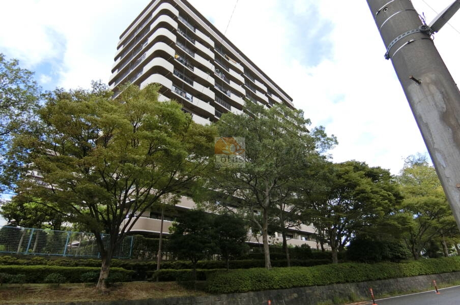 アリーナコースト参番街外観1｜環七とは反対側の建物なので室内は騒音感はありませんでした。
