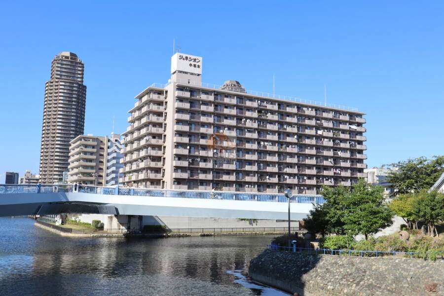 ジュネシオン小名木外観2｜ジュネシオン小名木は昭和５４年築１１階建てのマンションです。