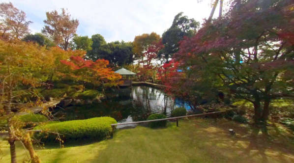 ライオンズガーデン荻窪大田黒公園-太田黒公園｜近隣の太田黒公園は回遊式の日本庭園です。
