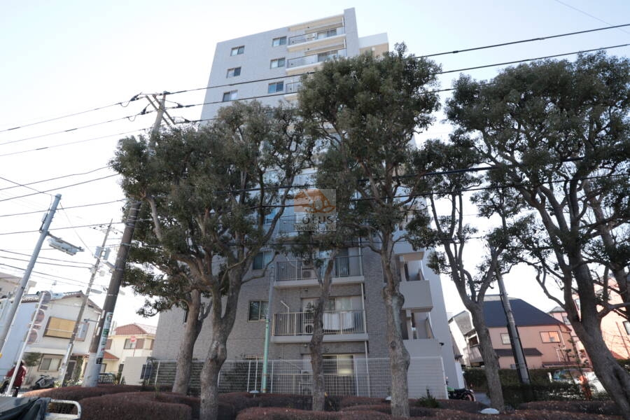 サンクレイドル新小岩親水公園外観5