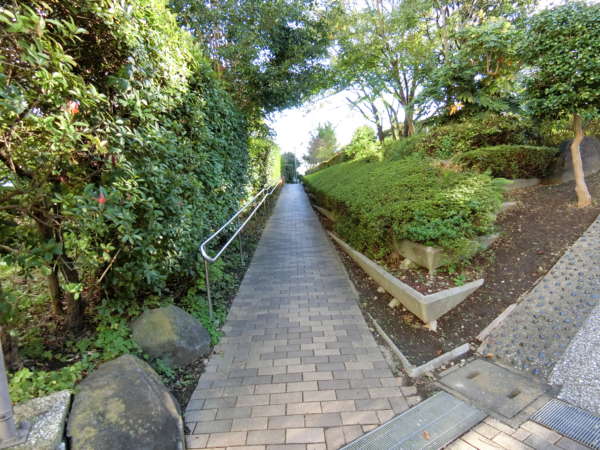 ルネ門前仲町外観共用部4｜晴海運河の堤防は緑地となっています。休日にはくつろぐことができるスペースです。