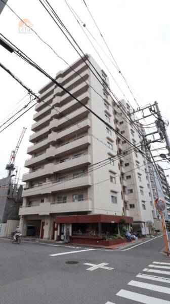 レック亀戸グリーンマンション外観1｜レック亀戸グリーンマンションは1981年（昭和56年）2月に建設された11階建ての建物で、亀戸駅より徒歩４分です。