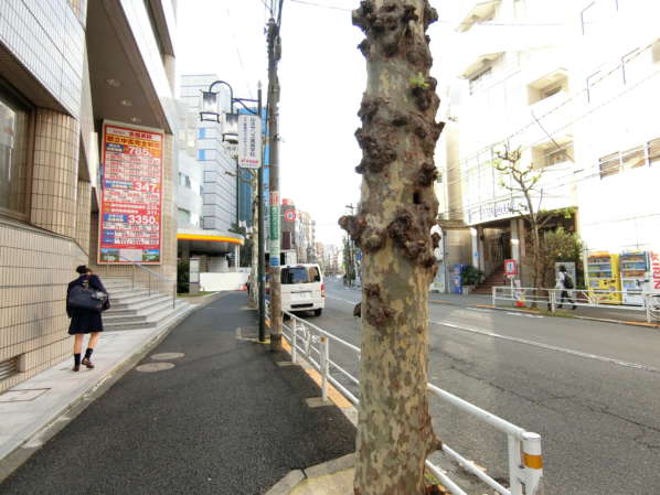 代々木３丁目エリア物件アプローチ5｜５分ちょい歩くと、事務所ビルと住宅系の建物が目立つようになります。