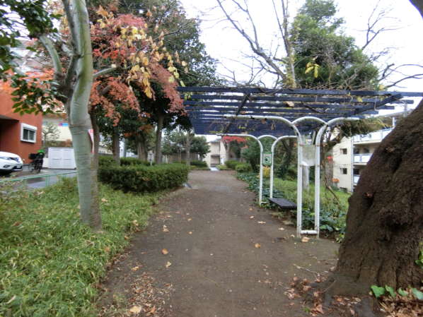 ライオンズマンション方南町外観共用部5｜敷地の南は路地を隔てて、公園に面しています。「方南二丁目公園」といいます。公園の南側は一段下がっている地形で、ここが高台部分に位置していることを確認できます。