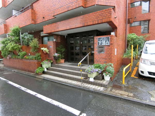 ジョリーメゾンヌベル下落合の共用エントランスには植栽が施され、管理の行き届いた様子がうかがえます。