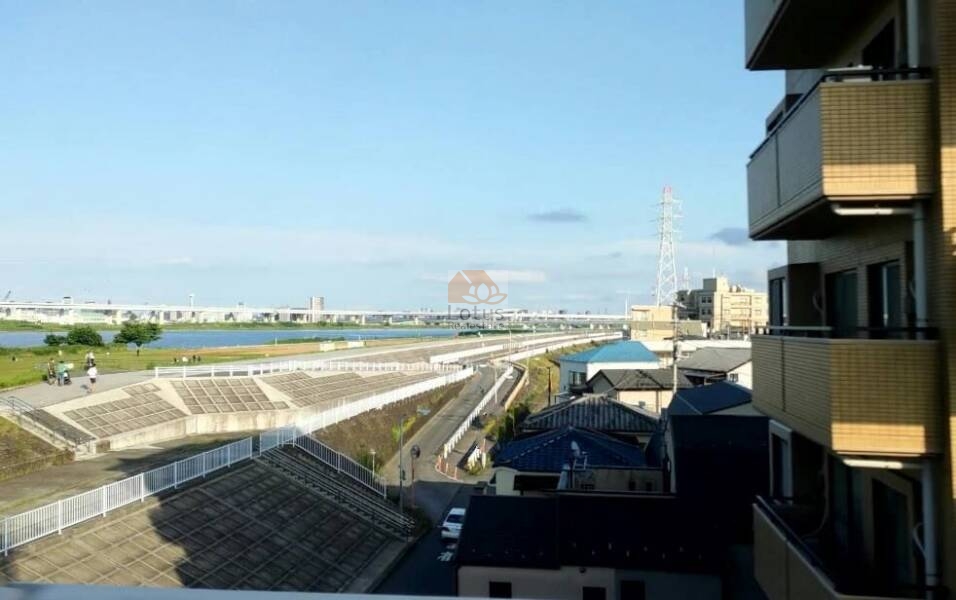 コスモ平井ガーデンフォルム周辺｜荒川も至近です。