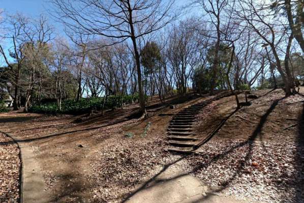 戸山ハイツ-箱根山｜戸山公園に隣接するかたちで山手線の内側で最も高い山「箱根山」があります。標高４４．６メートル。江戸時代に築かれた山で、自然が多く残されています。