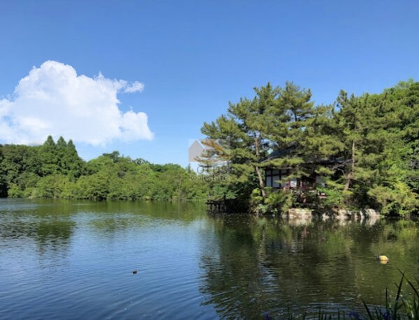 東京都立石神井公園2