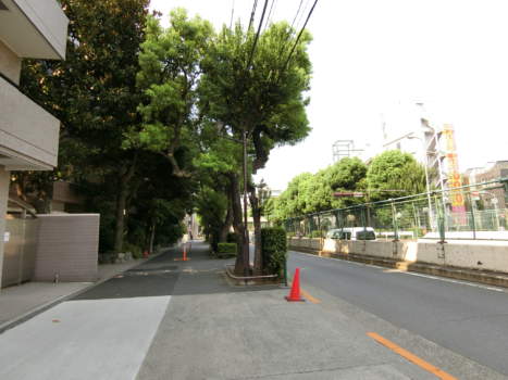 メゾンドール野方　アプローチ1｜マンションに向かうには環七沿いが主なルートですが、率直には交通音量は多いのはある反面、街路が整備されていて、好印象です。