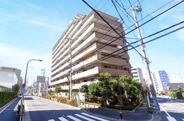 道路との距離感が取りやすい立ち位置で、SRC造11階建の層が均一に積み上がっています。光の入り方でバルコニーの陰影がくっきりし、総戸数115戸の規模らしい安定感が感じられます。亀有駅徒歩6分という近さと、近隣商業地域の角地配置が両立している点は特徴的です。ファミール亀有壱番館は、平成7年築、11階建てのマンションです。