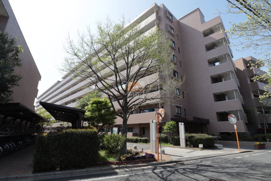 ファミールシティ武蔵関３番館外観｜参番館です。高木や街路樹に囲まれた敷地に堂々と構える中層棟で、落ち着きと安心感を演出しています。エントランスアプローチも整備され、訪れる人にも好印象な景観が広がります。