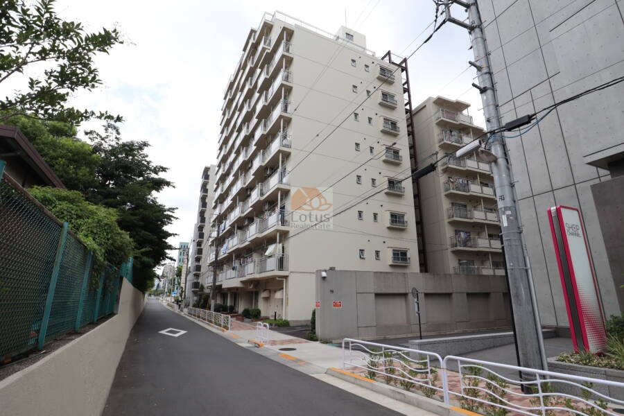 東陽七丁目ハイツ外観1｜東陽七丁目ハイツは１２階建てのマンションです。目の前に親水公園があります。