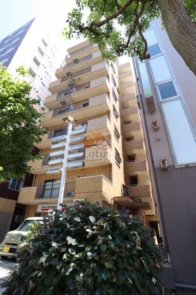 ライオンズマンション小岩第２外観1｜ライオンズマンション小岩第二は昭和５９年築、１０階建てのマンションです。蔵前橋通に面しています。小岩駅から徒歩５分圏内です。