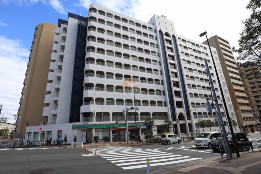 小名木川ハウス外観1-1｜大きな白いマンションですのですぐわかります。道路に対して間口が広くとれた良いプランです。堂々とした印象を受けます。