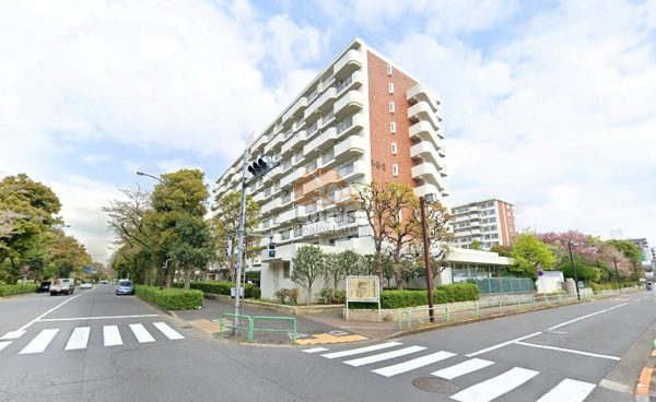 ゆりの木通り南３号棟外観３｜光が丘パークタウンゆりの木通り南は１から5号棟まであります。総戸数２６０戸の大規模マンションです。光が丘公園に隣接した緑の多い住環境が魅力です。