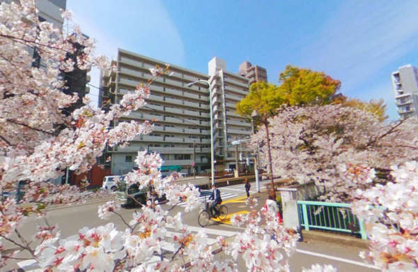 サンファミール西早稲田外観｜道路沿いに面したフラットなファサードと、中央の垂直ラインが全体に安定感をもたらしています。正面には路面電車の停留所があり、利便性も兼ね備えた立地です。
