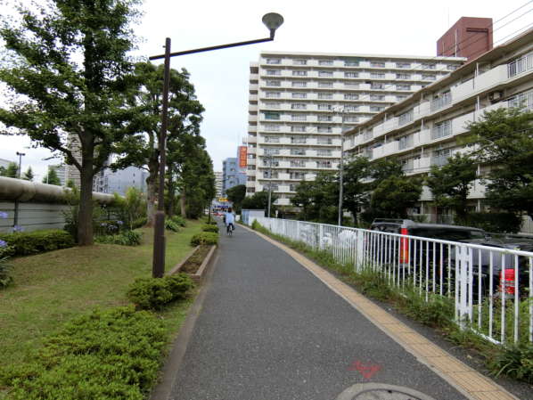 東陽町ガーデニアアプローチ3｜いろんなルートが考えられますが、この日は永代通り沿いに進んでみました。