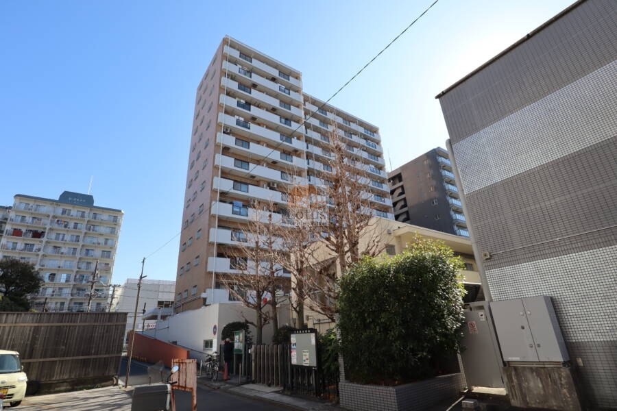錦糸町第２ローヤルコーポ外観4｜錦糸町第２ローヤルコーポは昭和56年築で、74戸の13階建てのマンションです。規模の大きさにより、多様な住戸タイプがあり、様々なニーズに対応できる点が特徴です。