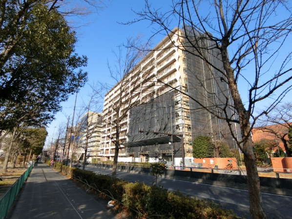竹の塚マンション外観・共用部8｜竹の塚マンションは１２階建てのマンションです。道路を挟んだ向かい側には保木間公園があります。