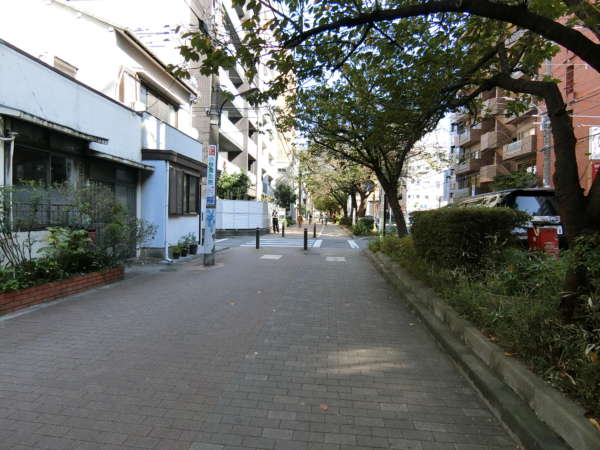 桜台ハイライズアプローチ5｜千川通りを西に進みます。