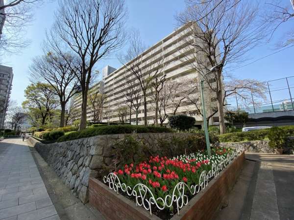 亀戸二丁目団地外観２｜９号棟外観です。東西に広い南向きの住宅です。