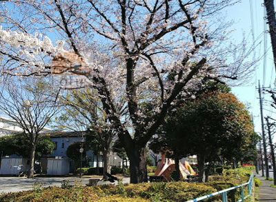 足立区立水神橋公園｜「足立区立水神橋公園」に隣接しています。園何はタコの滑り台があります。