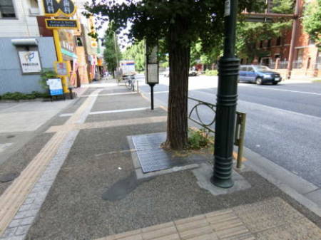 赤門ロイヤルハイツアプローチ-4｜街路樹が整備されて、路盤も舗装がおしゃれな委なっています。素敵な印象を受けます。
