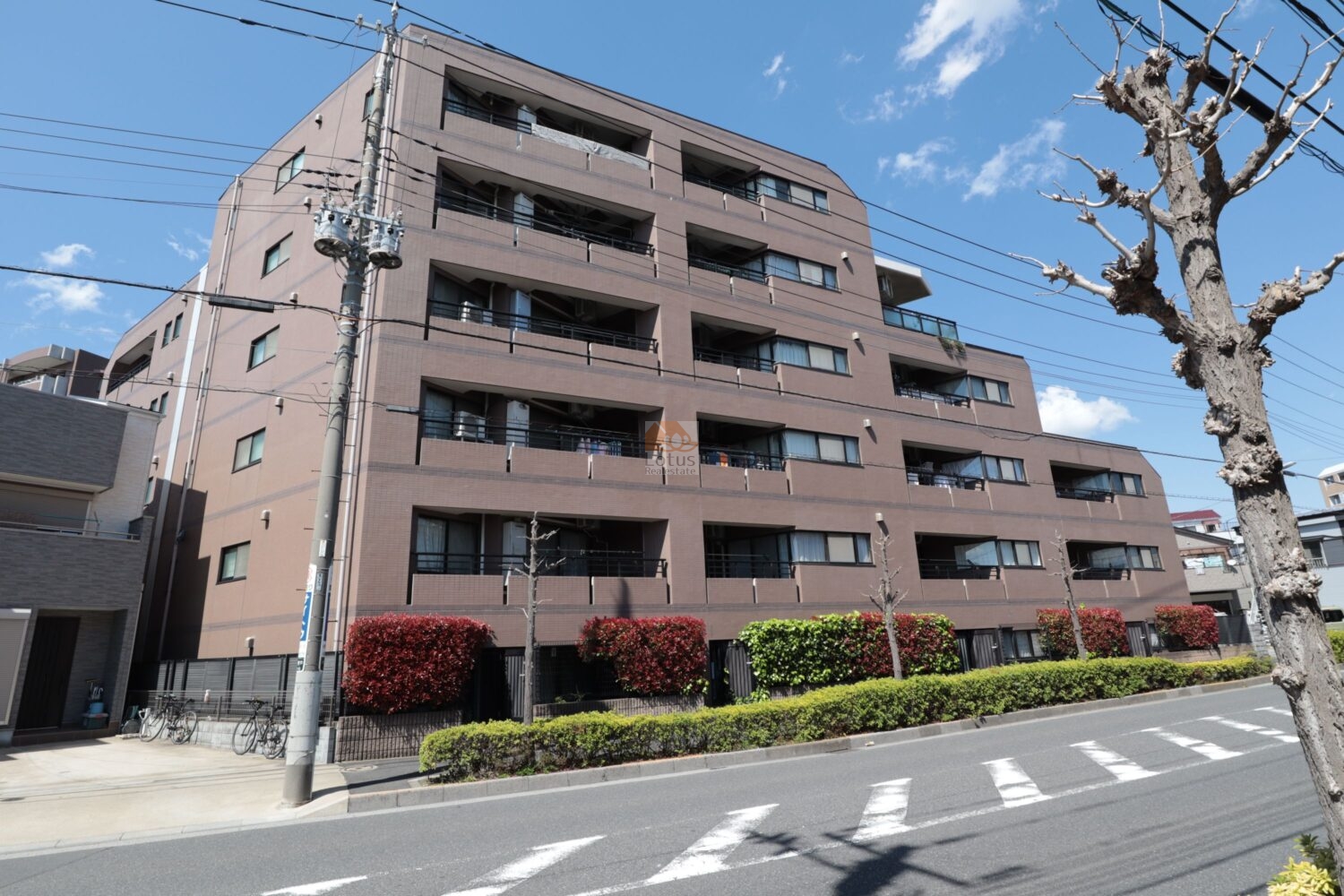 マイキャッスル竹ノ塚３の外観は、ブラウン基調のタイル貼りと水平ラインが強調されたバルコニー手すりが特徴です。道路に面した側は植栽が連続し、歩道との距離感が確保されています。落ち着いた色調の外壁は周辺住宅街との調和を意識した印象です。