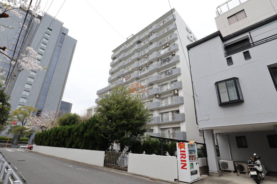 朝日プラザ亀戸外観11｜朝日プラザ亀戸は昭和57年築、11階建てのマンションです。