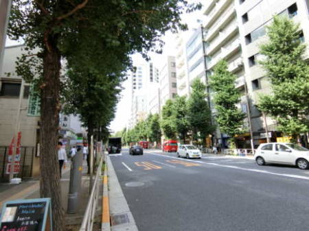 赤門ロイヤルハイツアプローチ-1｜本郷三丁目からの最寄り道は本郷通りといいますが、東京大学の学生さんと思わしき人が多く往来しています。