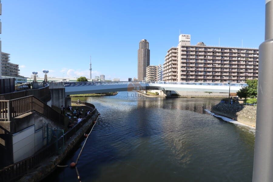 ジュネシオン小名木外観1｜マンション前には小名木川と横十間川が交差しています。