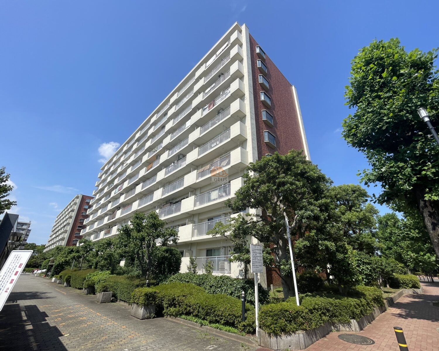 光が丘パークタウンゆりの木通り北の手前には低木の植栽とレンガ敷きの歩行者通路、街路樹が並んでいます。奥には同系デザインの住棟が続き、青空の下で住棟の長いファサードが確認できます。光が丘パークタウンゆりの木通り北は、昭和58年築、2号棟から10号棟までの全9棟からなる大規模マンションです。