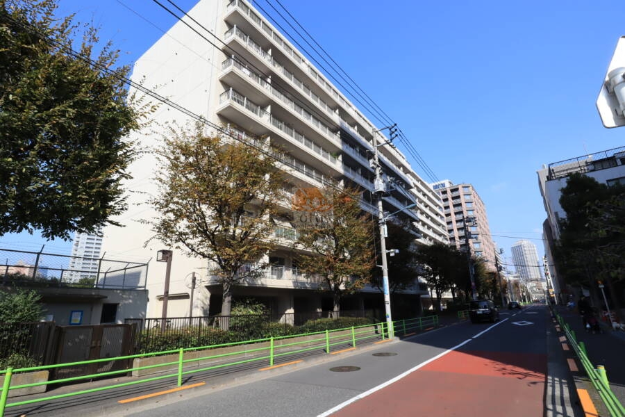月島リバーハウスＡ棟外観2｜月島リバーハウスは、1982年（昭和57年）12月築、9階建てのマンションです。