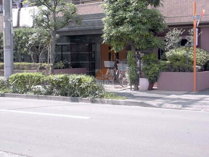 セザール亀有親水公園エントランス2｜エントランス前は葛西用水桜通りです。