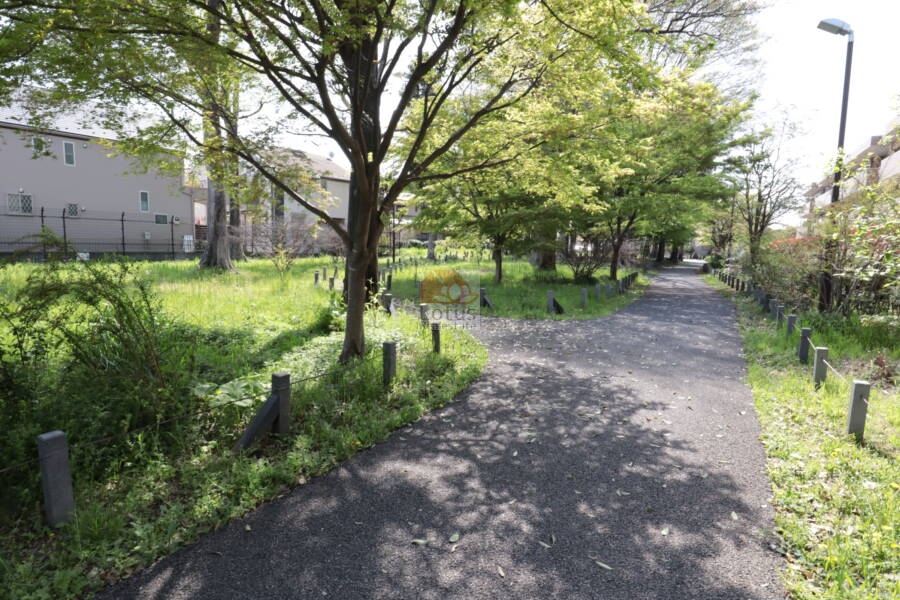 関町北５丁目緑地2｜隣接する緑道。幅の広い歩道と広がる芝生が整備され、四季折々の自然を身近に感じられる。ペットの散歩や子どもの遊び場にも適している。
