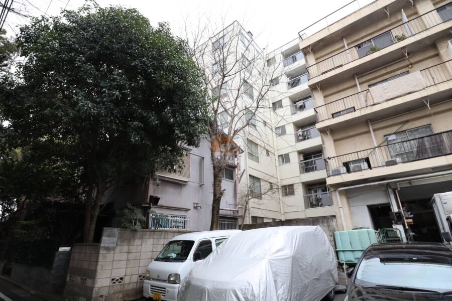 染井コーポラス外観3｜アプローチの脇に緑があり落ち着いた印象です。