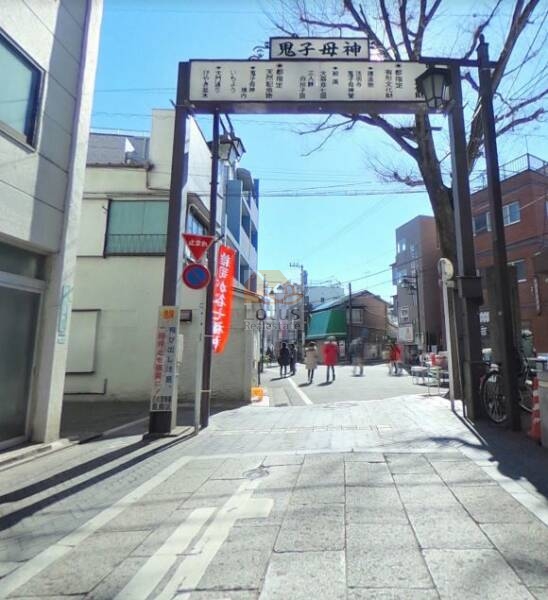 鬼子母神大門ケヤキ並木1｜鬼子母神表参道はケヤキ並木になっています。