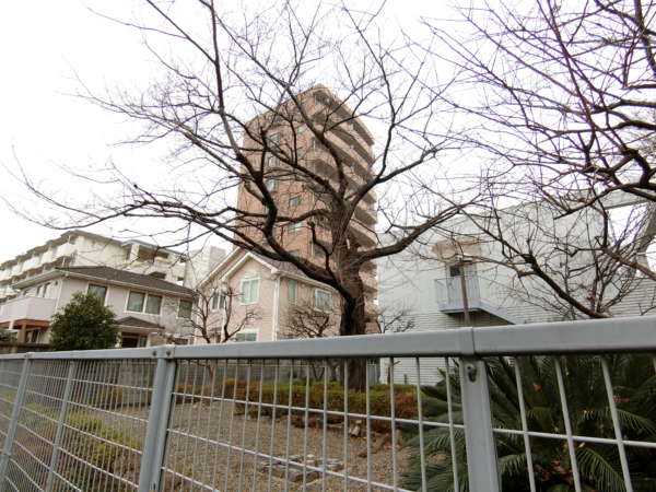 アーベイン赤塚外観共用部5｜この写真はちょうど物件の南西側（集会所の南）から撮影した写真です。物件の南側は落ち着いた住宅地となっています。