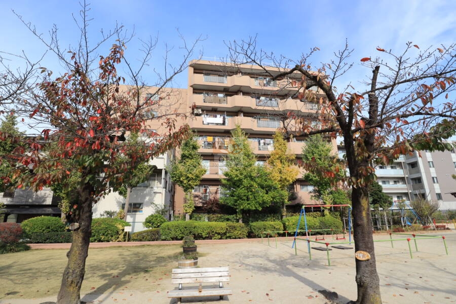 トーア平井マンション外観1｜トーア平井マンションの南側には「区立平井公園」が広がり、周囲の建物に遮られずに日当たりも良好です。