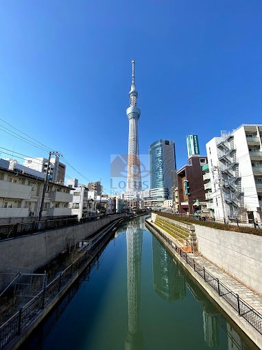 東京スカイツリー4｜徒歩7分に「東京スカイツリー」があります。