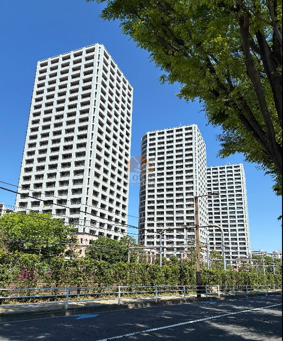 総戸数576戸で構成された3棟の高さが視覚的にも連続して見え、周辺の低層住宅群との対比で存在感が際立っています。複数の棟が独立しつつも敷地内の動線がゆるやかにつながっていて、住棟間を移動しやすい構成になっています。