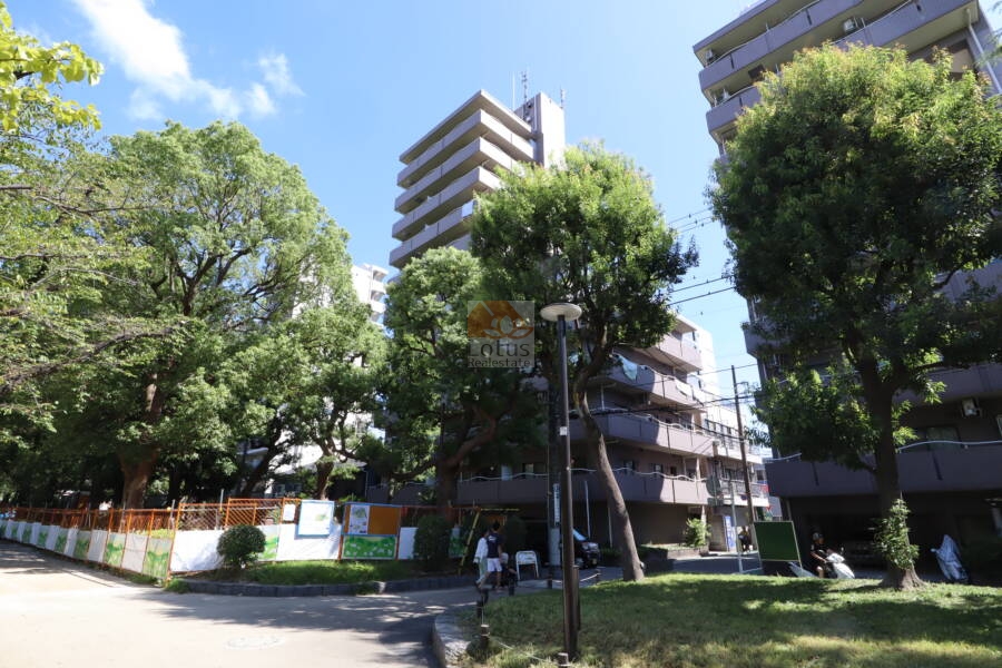 オリンポス隅田公園弐号館外観1｜オリンポス隅田公園弐号館は隅田公園に面したロケーションで、公園の緑に癒されます。１２階建てです。東京スカイツリーまで徒歩１０分圏内です。