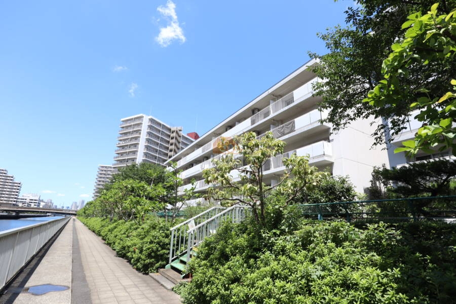 ファミリータウン東陽Ａ棟外観1｜A棟です。A棟はＢ棟とともに南側・運河に向いた棟です。