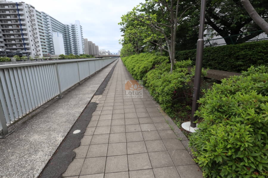 ファミリータウン東陽周辺3｜「潮風の散歩道」というそうです。