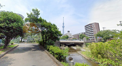 大横川親水公園１｜大横川親水公園は幅30～40m、長さ1.85kmの細長い形をした公園で、東京スカイツリー付近まで伸びています。