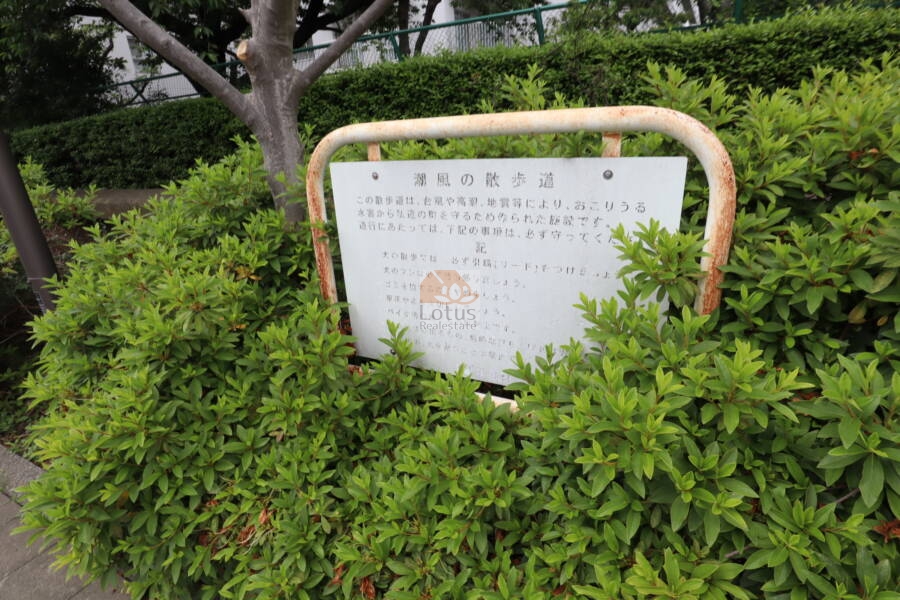 ファミリータウン東陽周辺2｜敷地の南は運河の脇の遊歩道となっています。