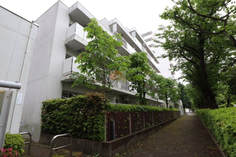 ファミリータウン東陽Ｊ棟外観2｜図書館とのあいだには路地を挟んでおり、緑が多いロケーションとなっています。